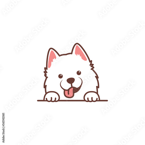 Cute samoyed dog cartoon, vector illustration