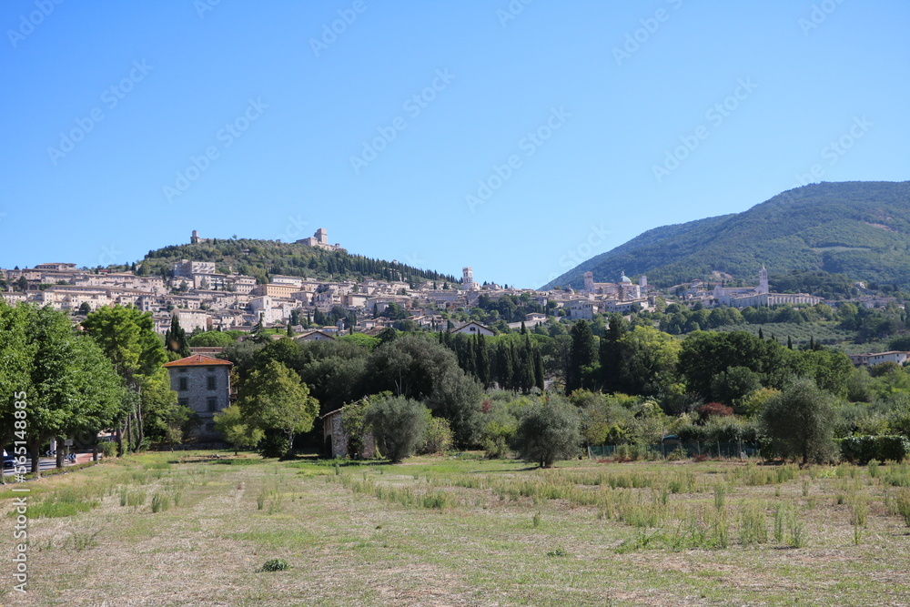 View to Assisi in summer, Umbria Italy
