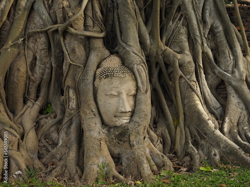 old buildings of ayutthaya thailand