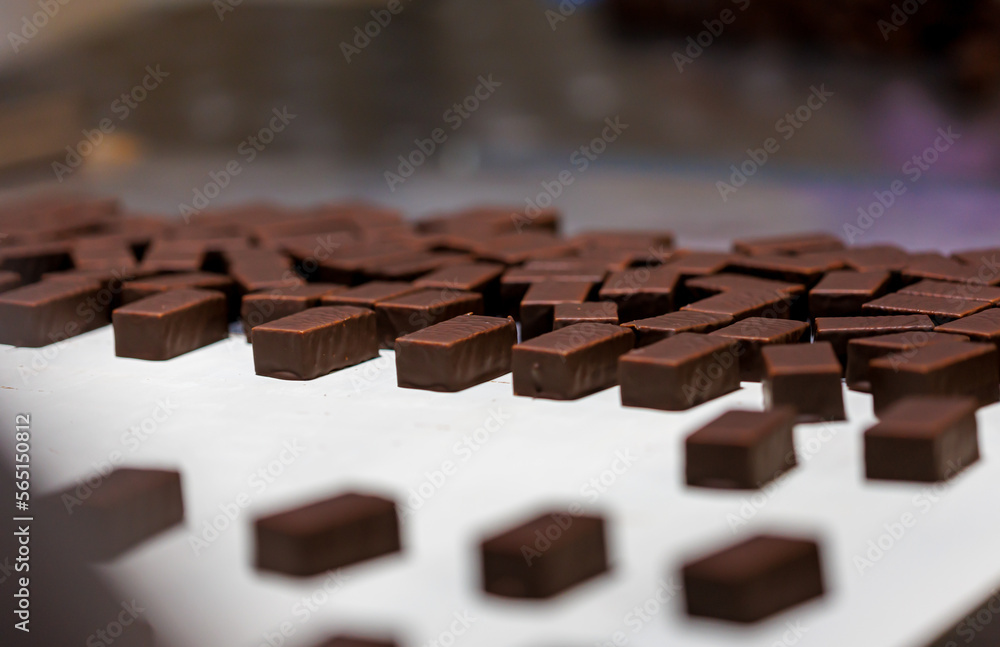 Production of chocolate candy. Sweets on conveyor belt at factory Production of chocolate candy. Sweets on conveyor belt at factory
