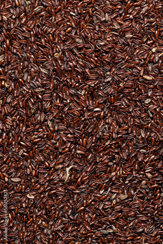Psyllium plantain seeds, background.  Plantago afra, macro. photo