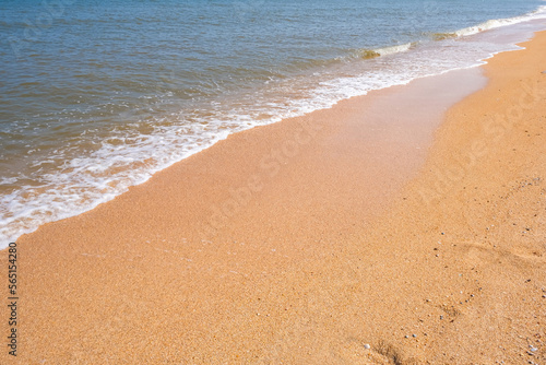 The coast of the Sea of Azov. Sea waves roll on the sandy shore. Seashell sandy beach.