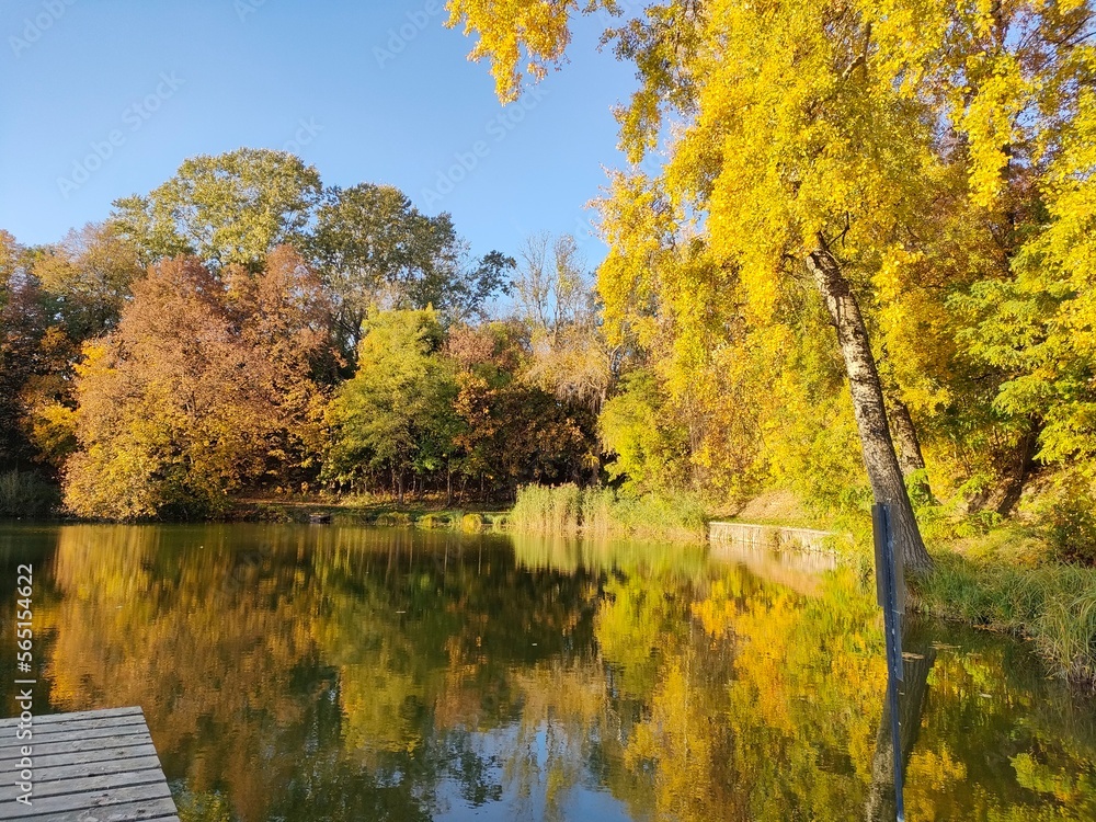 Fototapeta premium Sunny autumn day over the water, natural reflection of trees in the water
