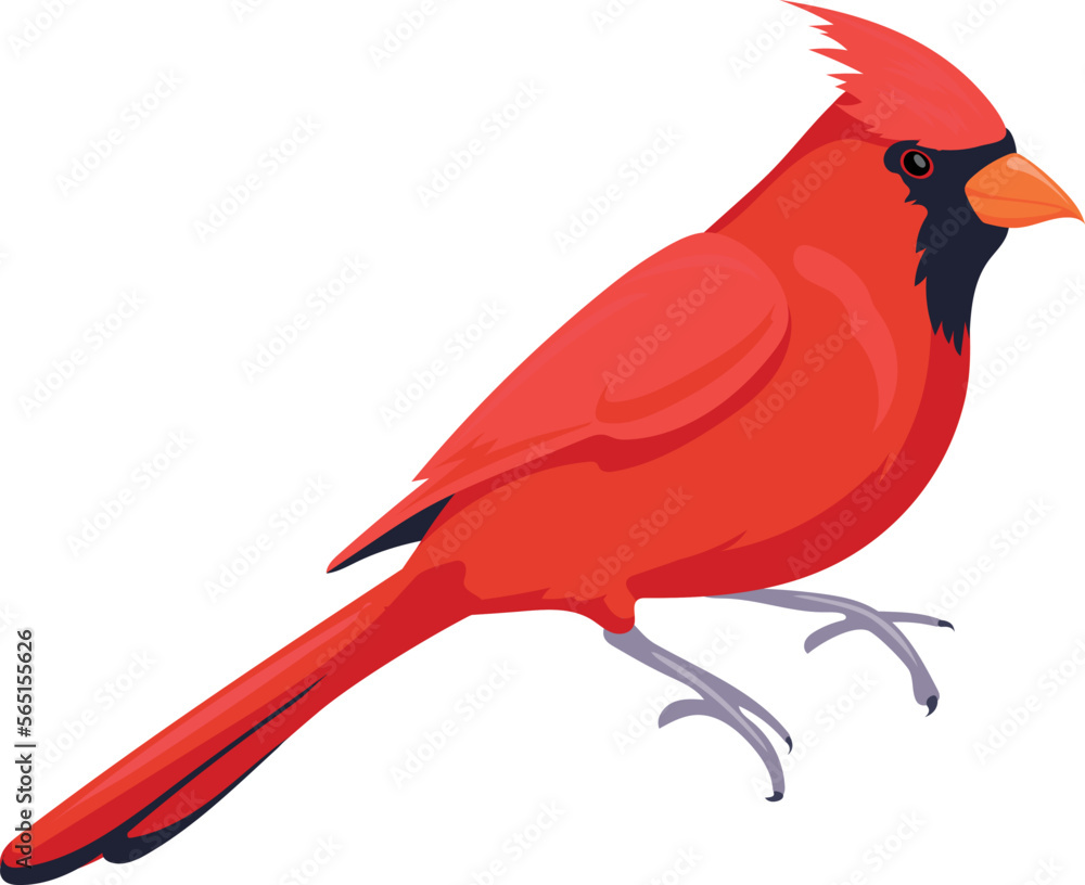 Cardinal bird icon. Red feathers wild animal Cardinal bird icon. Red feathers wild animal