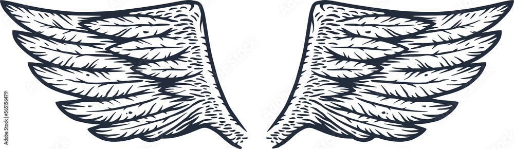 Pair of angel or eagle wings with feathers. Outline monochrome symbol of freedom