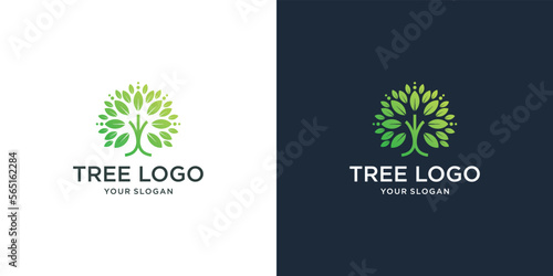 minimalist tree logo icon line style. circular tree concept with gold color. tree logo inspiration.