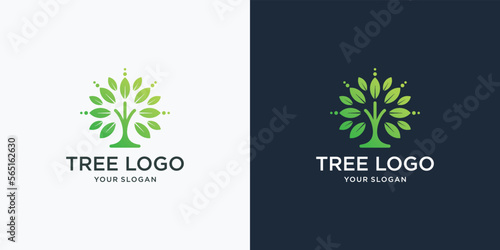 Tree logo icon design. Garden plant natural symbol.Tree of life branch with leaves and business card