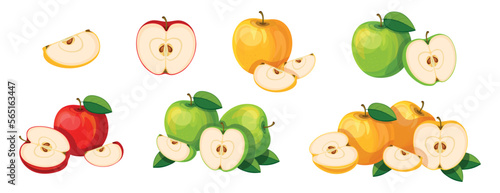 Set of fresh red, yellow and green apples in cartoon style. Vector illustration of tasty fruits whole and cut, large and small sizes with leaves isolated on white background.