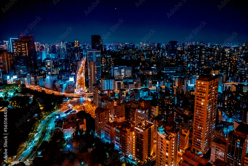 Skyscrapers and highways through Tokyo, Japan