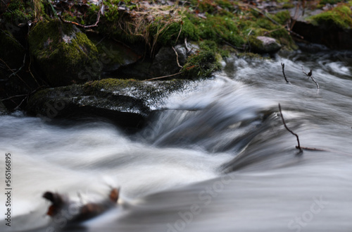 Close-up of beautiful stream in an old forest in winter