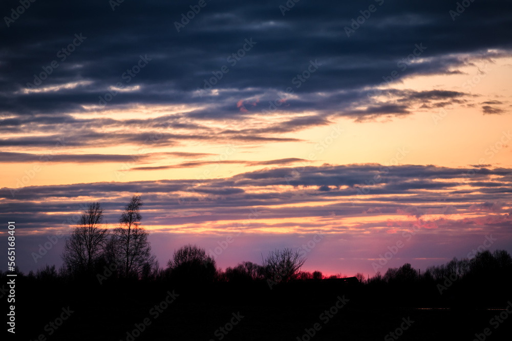 Pink clouds at sunset, silhouettes of branches and trees.