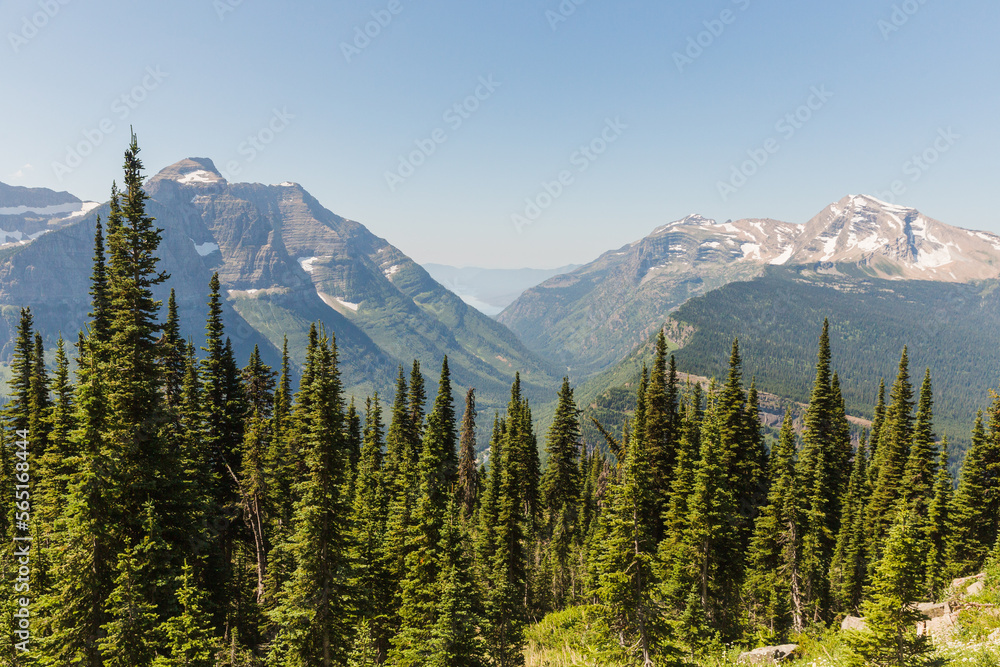 Mountains and trees view from highland trail, glacier national park Mountains and trees view from highland trail, glacier national park