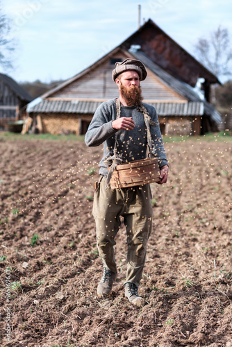 The gardener sows wheat in the garden, throws grain into the plowed land. Vertical orientation.