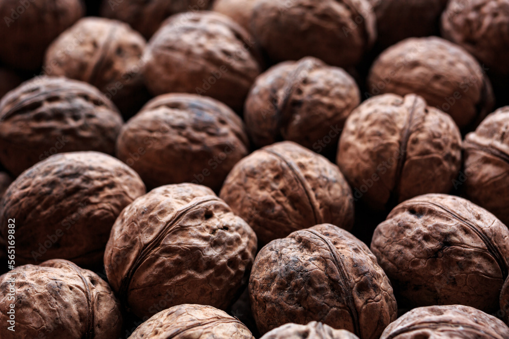 Lots of ripe, whole walnuts in a wrapper close-up. Lots of ripe, whole walnuts in a wrapper close-up.