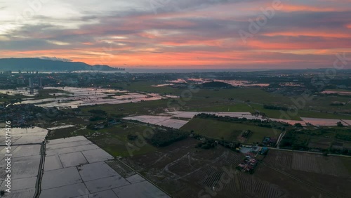 Drone shot hyperlapse move forward harvested and water season rice paddy field at Bukit Mertajam in sunset hour photo