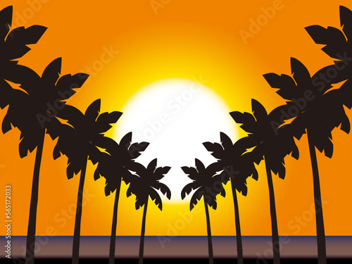 やしの木夕B13