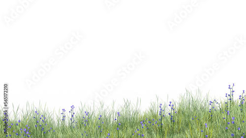 夏の草原 透過png	
