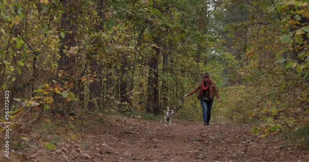 Young woman walking with her dog in a forest Young woman walking with her dog in a forest