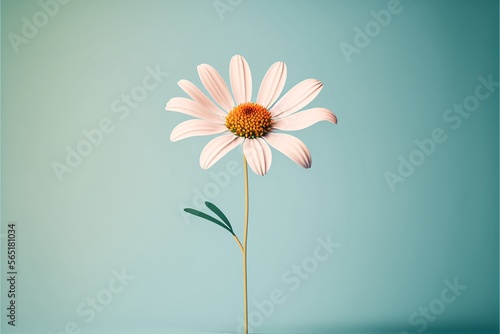 Daisy flower. Generative AI