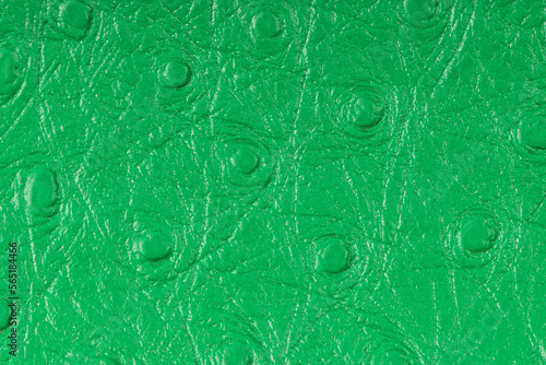 Green leather
