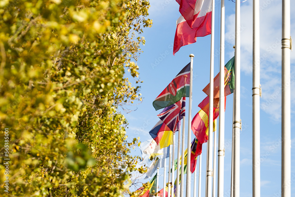 Flags of countries fluttering in the wind next to trees Flags of countries fluttering in the wind next to trees