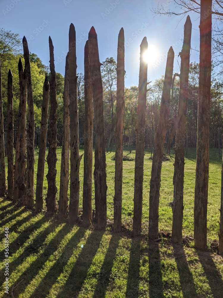Obraz premium fence in the park