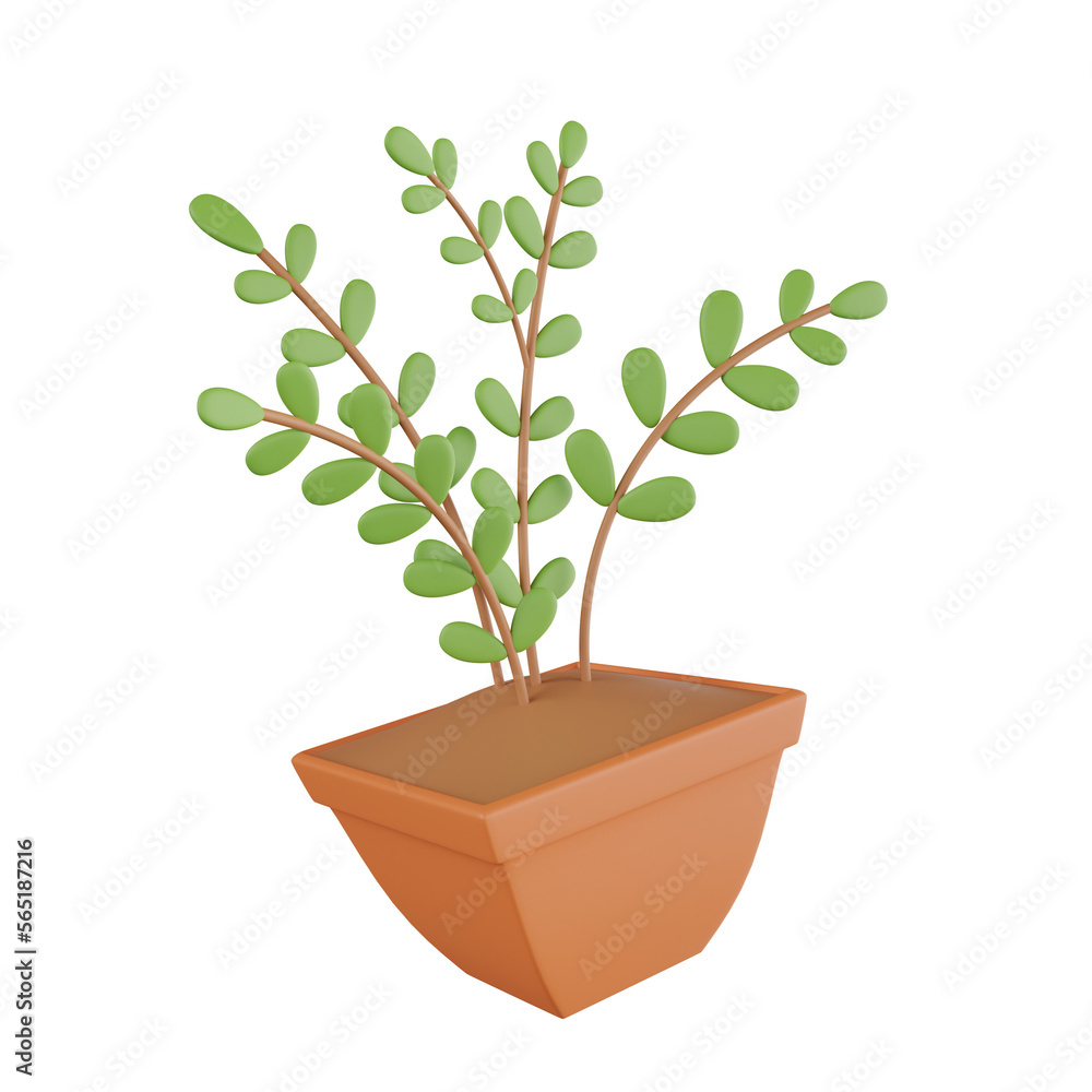 Fototapeta premium 3D Plant Botanical