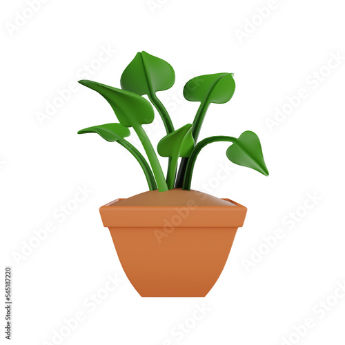 3D Plant Botanical