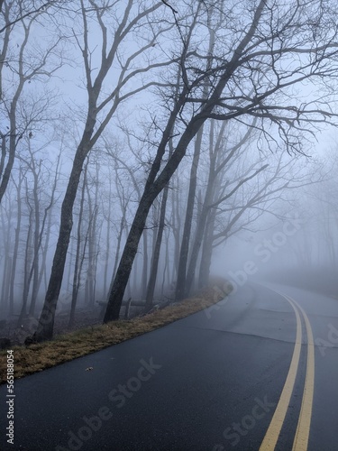 road in the fog