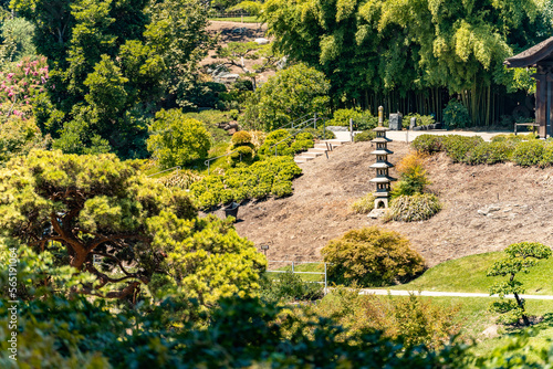 A beautiful Japanese garden on a nice sunny day