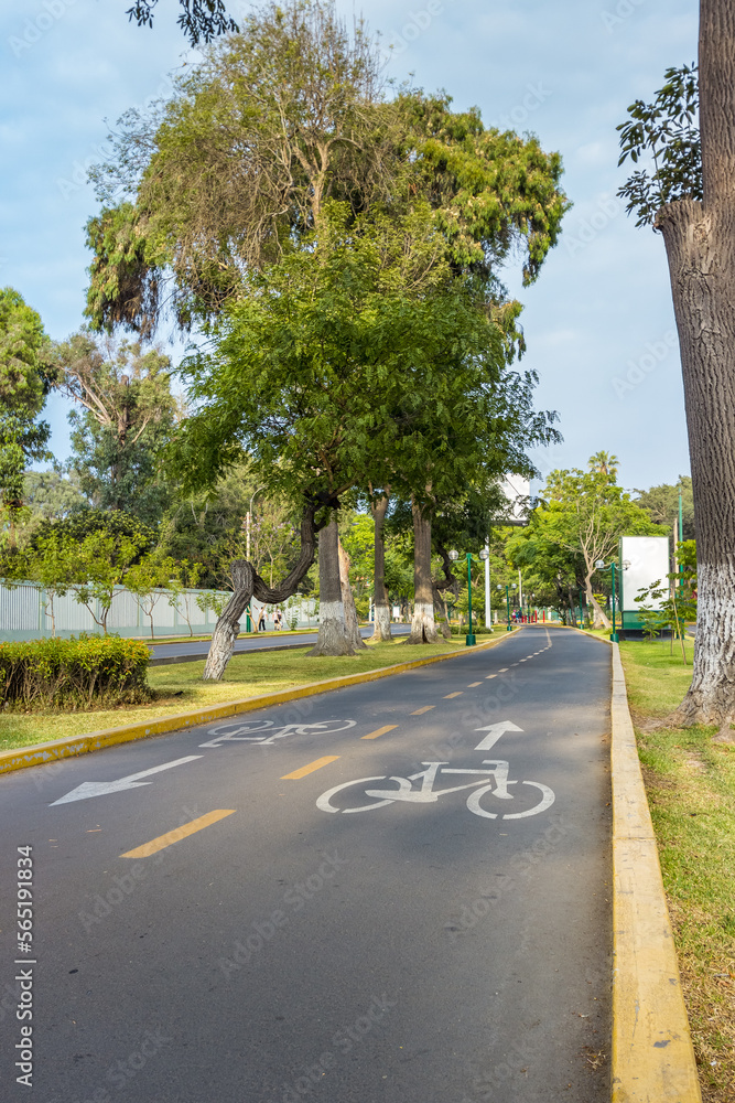 Two-way vegetated cycle path Two-way vegetated cycle path