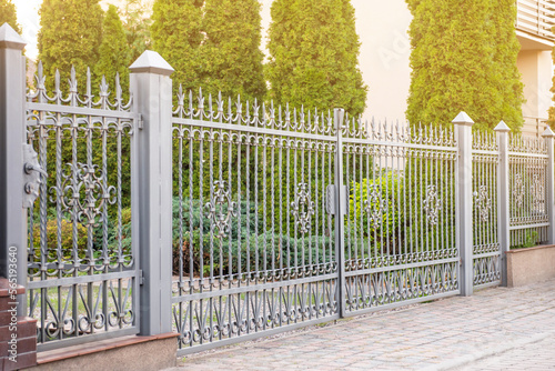 Trees behind beautiful iron fence near pathway outdoors