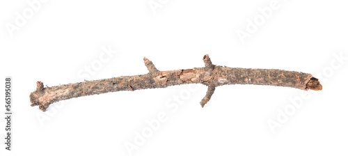 One dry tree twig isolated on white © New Africa