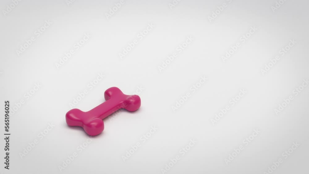 Dog Bone Chew Toy Dog Bone Chew Toy
