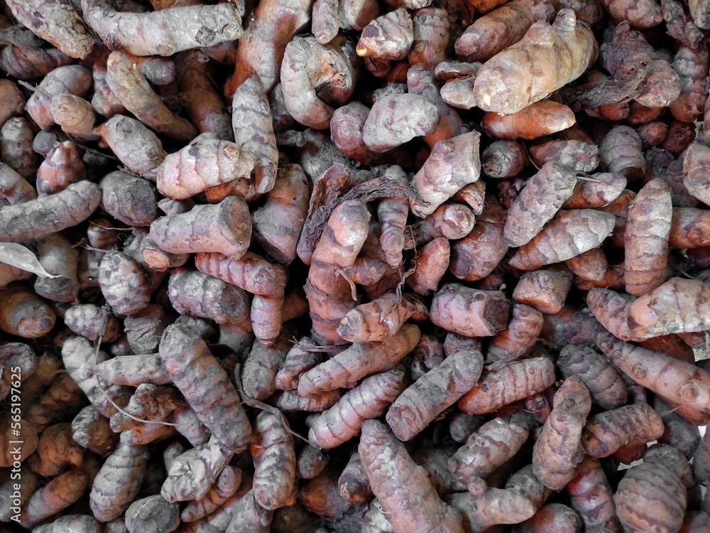 pile of fresh turmeric in the traditional market pile of fresh turmeric in the traditional market