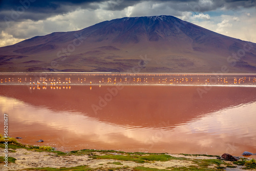 Obraz na płótnie Laguna colorada, Red lake, with Flamingos and Volcanic landscape, Andes, Bolivia w salonie