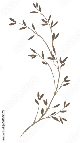 dry small  leaf png