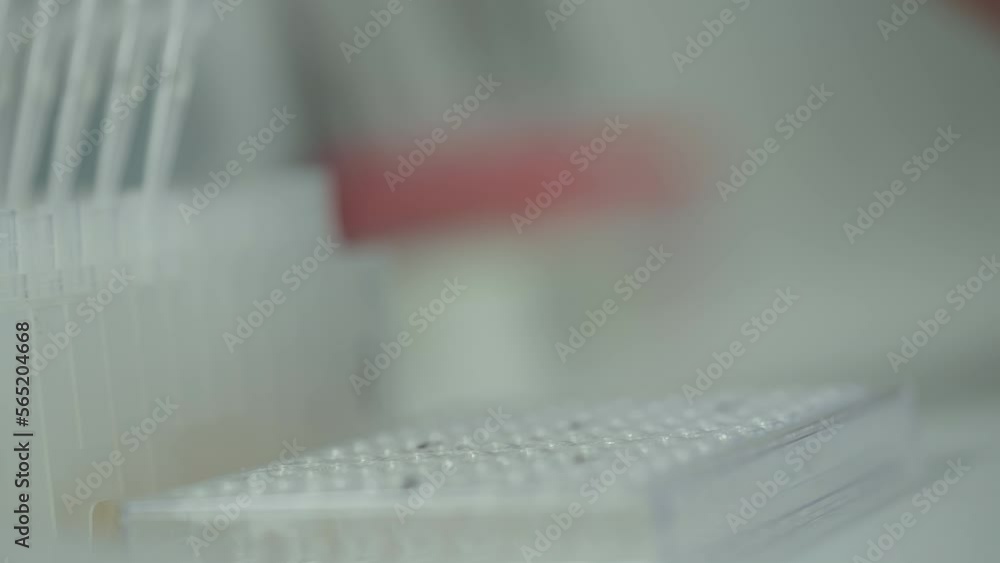 Filling Laboratory Tubes With Sample Liquid Using Pipettes. Laboratory Equipment. Pipettes Pouring Sample For Research. Dropping Laboratory Pipettes After Storing Sample. Product Quality Check Filling Laboratory Tubes With Sample Liquid Using Pipettes. Laboratory Equipment. Pipettes Pouring Sample For Research. Dropping Laboratory Pipettes After Storing Sample. Product Quality Check