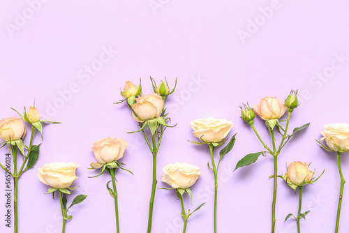 Beautiful rose flowers on lilac background