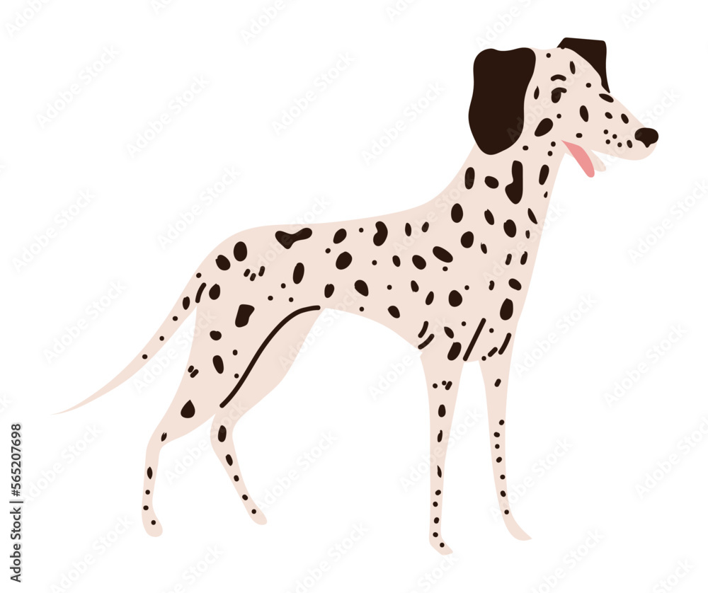 dalmatian dog icon