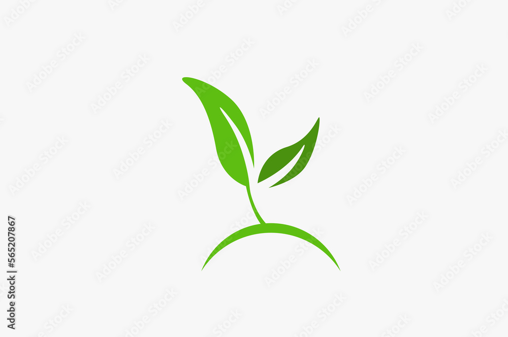Illustration vector graphic of green leaf plant Illustration vector graphic of green leaf plant