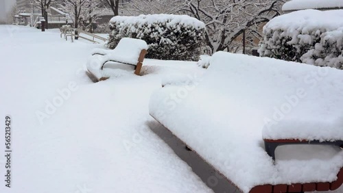 Wallpaper Mural 信濃川沿いの雪景色_Snow scenery along the Shinano River Torontodigital.ca