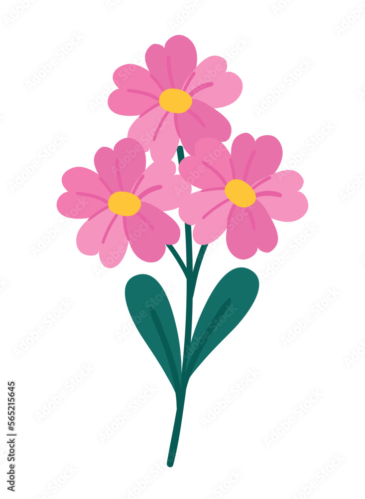 flowers and stem spring flowers and stem spring