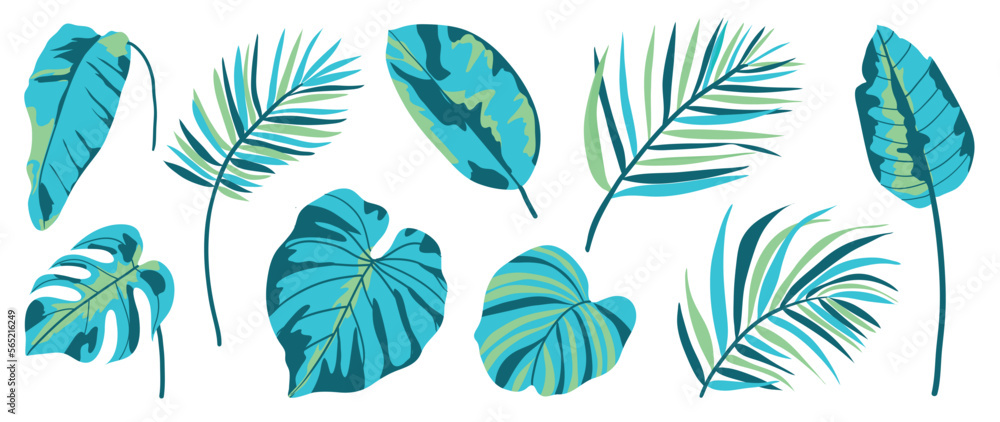 Hand painted tropical leaves vector set. Botanical different type exotic foliage, jungle plant, monstera and palm leaves isolated on white background. Design for cosmetic, product, spa, decoration.