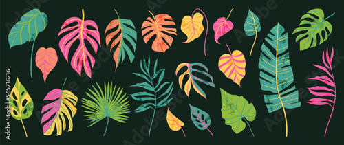 Leinwand Poster Hand painted tropical leaves vector set