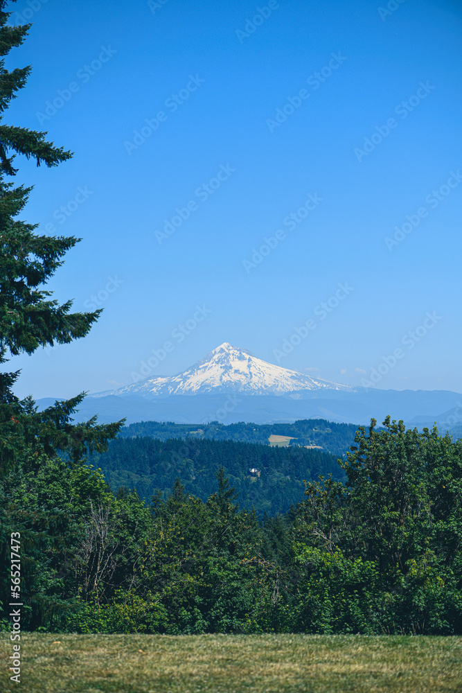 Obraz premium Mount Hood horizon 