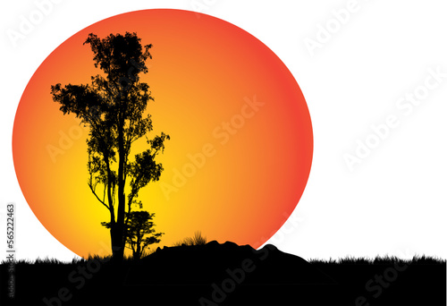 gum tree with large orange moon in the background