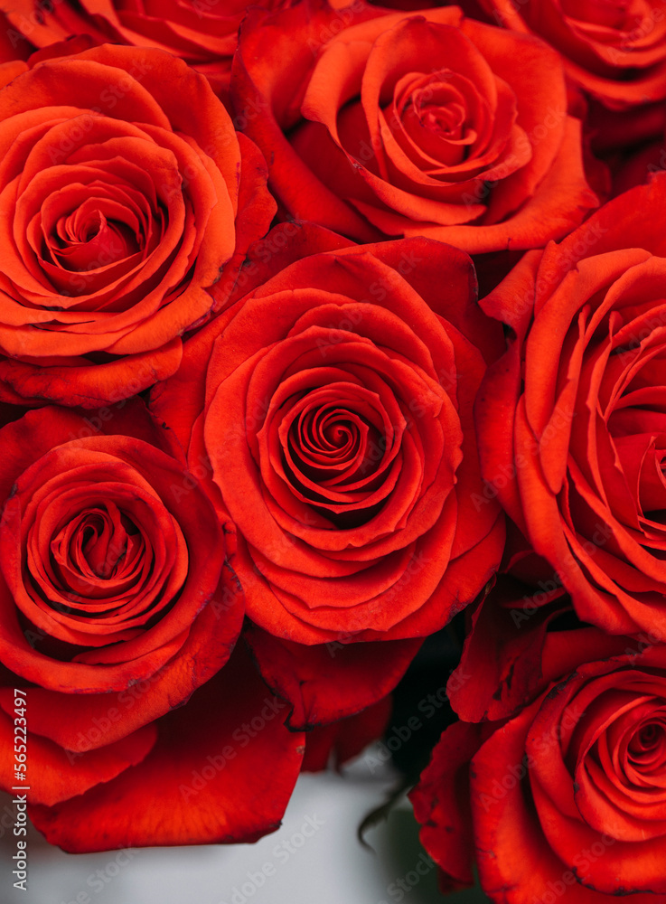 bouquet of red roses. Mother day. Sensual. Lovers. bouquet of red roses. Mother day. Sensual. Lovers.