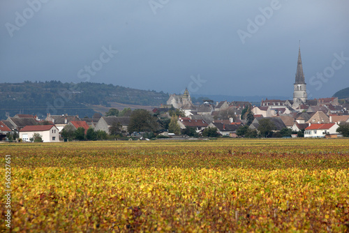 Autumn in Burgundy photo