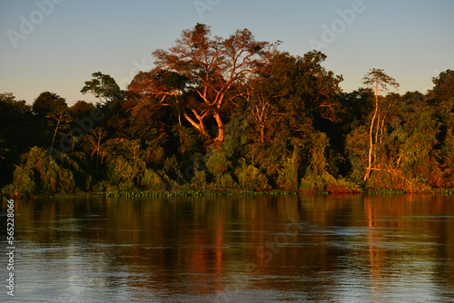 Dawn on the rainforest-lined Guaporé-Itenez river, near the remote village of Remanso, Rondonia state, Brazil, on the border with Beni Department, Bolivia